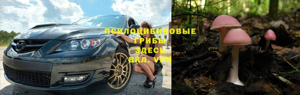 мескалин Алексин