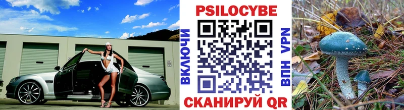 Галлюциногенные грибы мухоморы  где купить наркоту  Порхов 